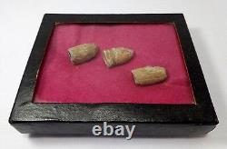 RARE MID-19TH C ANT EXCAVATED 3 UNION ARMY CIVIL WAR LEAD BULLETS WithTEETH MARKS