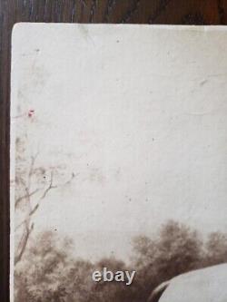Photo de cabinet en albumine antique de la guerre civile du général confédéré ROBERT E. LEE et TRAVELER